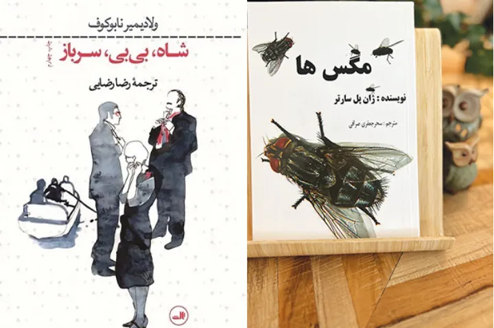 نگاهی به شاه، بی‌بی، سرباز؛ و مگس‌ها